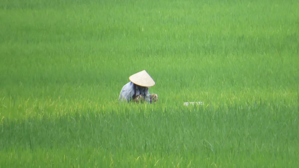 North Vietnam